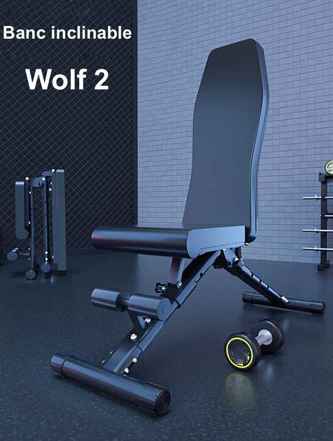 Banc Wolf v2