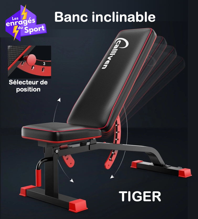 Banc Tiger